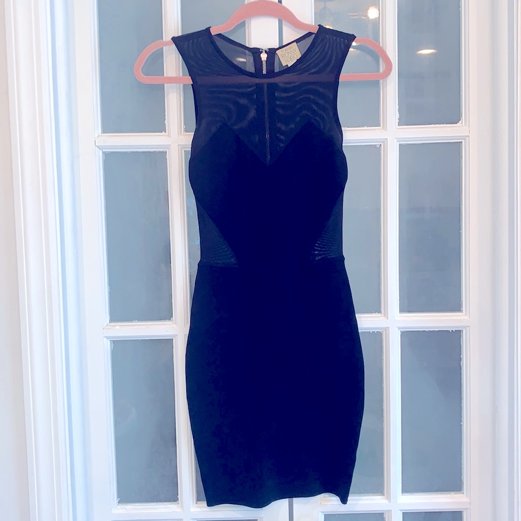 Torn By Ronny Kobo Sheer Cut Out Lbd